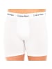 Calvin Klein Boxershorts in Multicolored