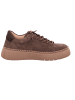 Gabor Sneaker Low in braun