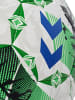 Hummel Fußball Hmlinspire (Zubehör) in GREEN/WHITE/BLUE
