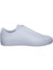 Lacoste Klassische- & Business Schuhe in WHT/WHT