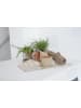 Esschert Design Blumentopf in Terracotta