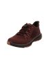 Ecco Lowtop-Sneaker Terracruise II in fig/fig