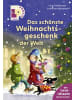 FISCHER Sauerländer Buch - Leseprofis - Das schönste Weihnachtsgeschenk der Welt, 1. Klasse