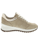 Geox Spherica Sneaker low Beige