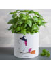 Mr. & Mrs. Panda Fensterbank Blumentopf Einhorn Hexe ohne Spruch in Weiß