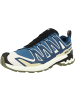 SALOMON Laufschuhe XA PRO 3D V9 GTX in dunkelblau