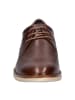 Josef Seibel Klassische Schnürschuhe in Braun