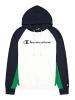 Champion Hoodie Hooded Sweatshirt in Multicolor