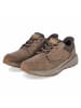 Skechers Schnürhalbschuh in brown