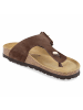 Beliana Pantolette in brown