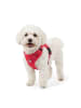 Reichstadt Reichstadt  Hundegeschirr  25RSP083 Red M