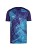 Nike Performance Fußballtrikot Precision VI in hellblau / blau