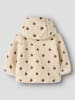 name it Jacke in Turtledove
