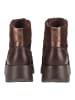 Hispanitas Stiefelette MONTANA-6 in Dunkelbraun