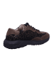 Paul Green Sneaker Low in braun