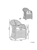 Beliani 2er-Set Sessel SUSUA II in Beige
