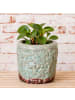 AltoBelli Blumentopf SIRMIONE Terracotta Antik Beige 13x12 cm