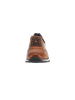 Bugatti Sneaker low Cirino in Braun