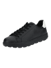 Geox Sneaker in Schwarz