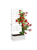relaxdays Pflanzkasten "Spalierwand" in Weiß - (B)71,5 x (H)171 x (T)32 cm