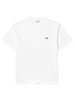 Lacoste T-Shirt in Weiß