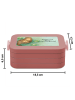 Mr. & Mrs. Panda MEPAL Bentobox Otter Seerose Design mit Spruch in Rot Pastell