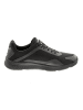 Champion Sneakers Low Orion in schwarz