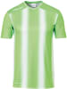uhlsport  Trikot "Stripe 2.0 Trikot Kurzarm" in Grün
