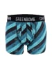 GreenBomb Trunk Bike Stripes in Mix Blau