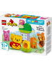 duplo DUPLO® Winnie Puuhs Geburtstagsparty in Mehrfarbig ab 18 Monate