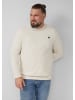 s.Oliver Sweatshirt in 9000_creme