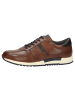 Sioux Sneaker Rojaro-700 in cognac