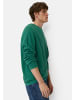 Camel Active Pullover aus reiner Baumwolle in Tannengrün