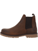 palado Chelsea Boots in brown brown
