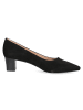 Caprice Klassische Pumps in Schwarz
