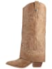 Steve Madden Stiefel STAGECOACH Tan