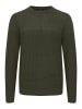11 Project Strickpullover PRAdamus 20715524 ME  Modischer Strickpullover in Grün