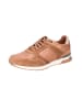 Camel Sneaker Active in tan/weiss