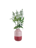 Butlers Vase TWO TONE in Pink