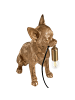 Beliani Tischleuchten ROCCO in Gold/Messing - (W) 17 x (H) 32 x (L) 25 cm