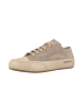 Candice Cooper Sneaker low ROCK S in beige