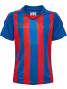 Hummel Kinder Sportshirt in Blau