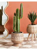 Beliani Outdoor Blumentopf CICUTA in Braun/Beige - (W) 22 x (H) 30 x (L) 22 cm