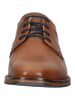 Bullboxer Businessschuhe in Cognac