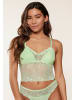 LINGADORE DAILY Bralette Paradise green