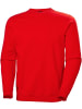 Helly Hansen Pullover "Classic Sweatshirt" in Rot