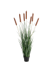 Beliani Kunstpflanze BULRUSH in Grün/Braun - (W) 30 x (H) 135 x (L) 30 cm