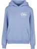 Mister Tee Sweat & Fleece - Hoodies in powderblue