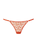 Vivance by Lascana String in manderine