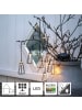 STAR Trading LED Solar-Lichterkette ,Eddy', Dämmerungssensor, outdoor, warmweiß, L